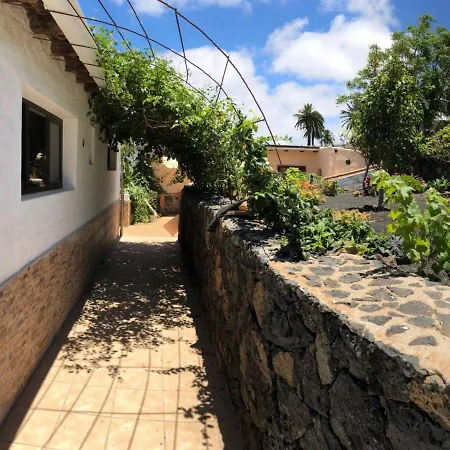 Apartment Casa Palmera Y Casa Datil Haria